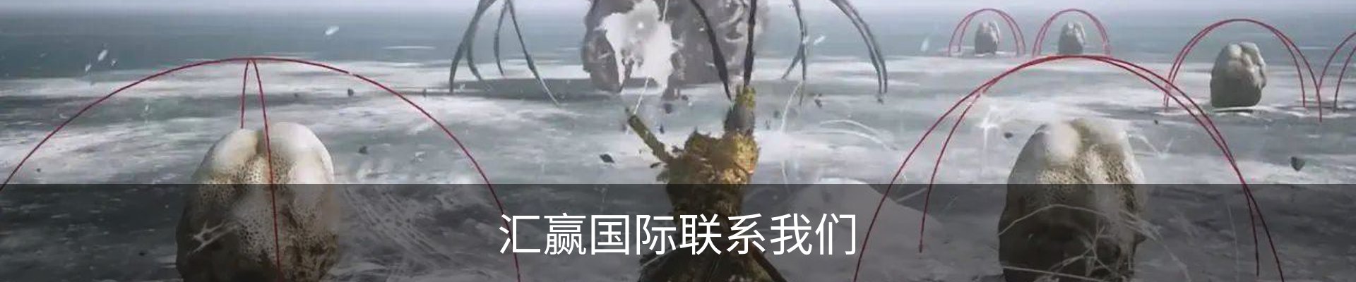 汇赢国际联系我们